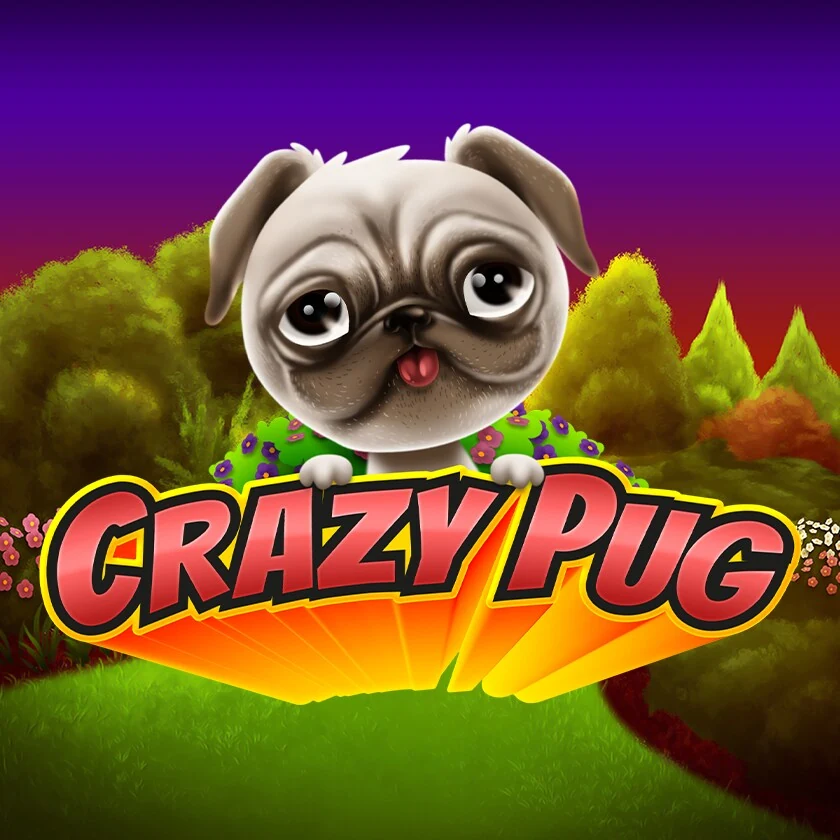Crazy Pug